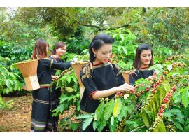 TOUR TÂY NGUYÊN