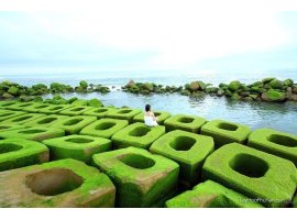 Tour Phú Yên